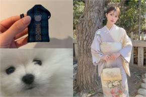 神戸・生田神社で初詣と厄祓い 「ファミリア」とのコラボお守りを愛犬へ