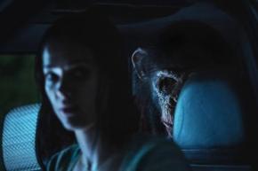 可愛いと怖いが交錯する“kowaii”を体験せよ！　映画『おさるのベン』ヨハネス・ロバーツ監督インタビュー