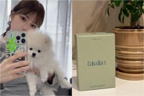 寝る前に飲むお茶、愛犬と楽しめる香り、憧れのホテル…寒い冬を乗り切る“癒しTIPs”