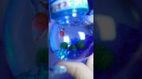 ASMR×ときめくガジェット紹介！ 青い部屋が目印です『夜もすがラボ-Yomosuga Lab』を紹介！ チャンネルウォッチ 3/18号