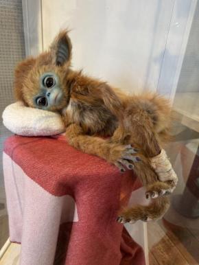架空の動物“オチ”の謎に迫る! ふわふわの毛並みを体験出来る展示も