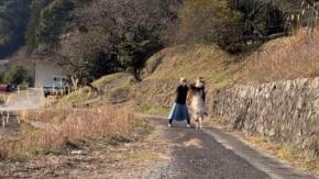 ヤギと猫と人間が登場! 田舎暮らしの記録『くまの里山日記』を紹介! チャンネルウォッチ 5/14号