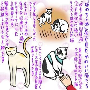 全猫好きにおすすめしたい　東京農大の猫についての企画展