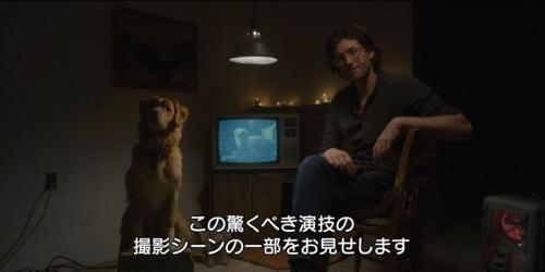 『GOOD BOY／グッド・ボーイ』メイキング映像　監督と主演犬インディ