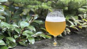 ビール派キャンパーは見逃し厳禁！ ヤッホーブルーイングが間伐材で作る“森の香り”のIPA。
