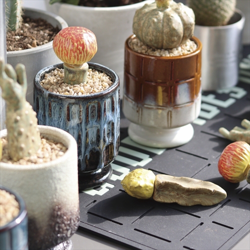 POST GENERAL THE CACTI POT