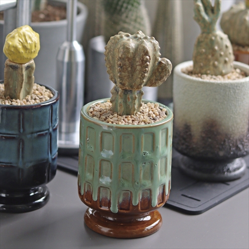 POST GENERAL THE CACTI POT