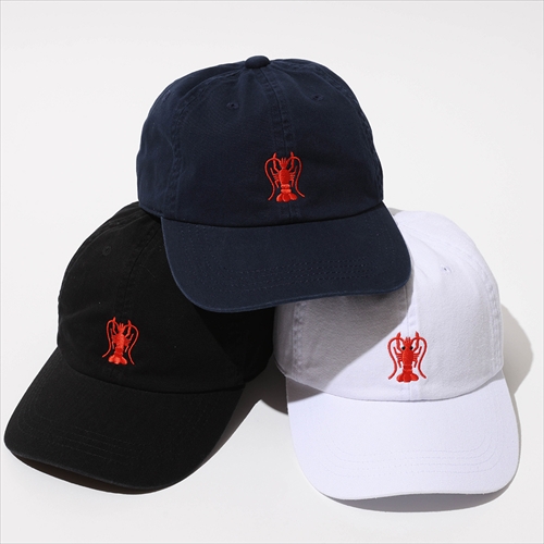devadurga EBI CAP