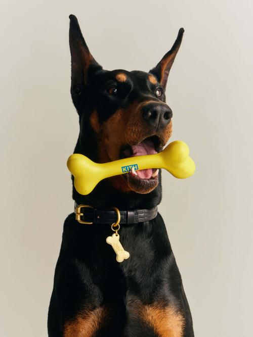 Kith for wagwear コレクション