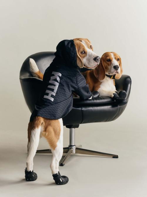 Kith for wagwear コレクション
