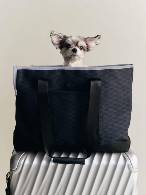 Kith for wagwear コレクション