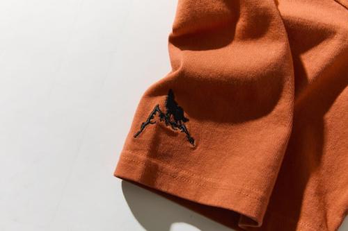DS POCKET BIG T