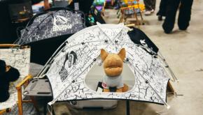 コットテントやエアフレーム、大型シェルターまで。いつかキャンプで張ってみたい、新作テント5選。【FIELDSTYLE TOKYO 2026】