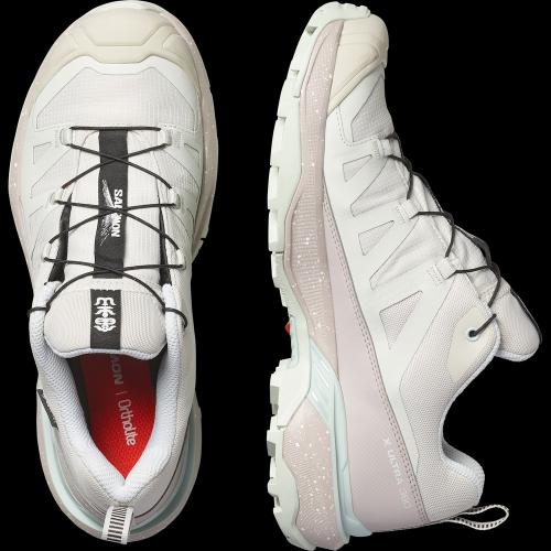 Salomon X ULTRA 360 GORE-TEX FUJI LTD