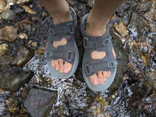 rig footwear
