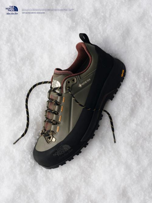THE NORTH FACE×Aimé Leon Dore ベルトアルパインゴアテックス