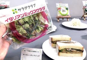 サラダクラブの多彩な商品群と 朝サラダ習慣 お手軽朝食レシピ で野菜タイパ摂取! 袋開けてサッ 包丁 まな板 火 不要 イタリアンミックス 緑黄色野菜 千切りキャベツ 各3品紹介