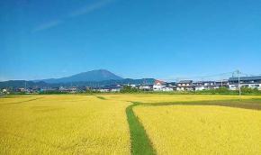 秋田駅ナカで買った老舗和菓子店 三松堂 の栗饅頭　大正13年 老舗の和菓子をお茶とゆっくり　秋田駅ビル トピコ＆アルスで手に入れたホクホク◎時間