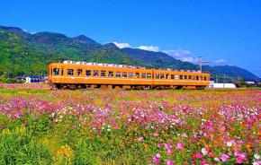 島根県「出雲あんこ旅２ ～平田・斐川あん結び編～」11/30まで開催中　しまねあんこスイーツ16種を巡るスタンプラリーへ　美人の湯とあんこお菓子でココロもからだも整えて◎