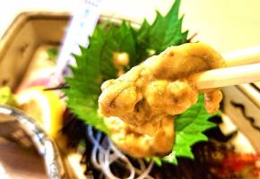 香川県 遊食房屋 多度津高校 共同開発　海洋循環型「讃岐うどん雲丹」に込めた想い「研究成果が商品に、学びが実際の社会課題解決に」2027年全国展開めざし産官学が結束