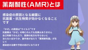 薬剤耐性 AMR臨床リファレンスセンター「かぜに抗菌薬は効きません」をアニメ「はたらく細胞」とコラボ発信 リアルイベント11/8.9 @渋谷も かぜの正しい対処法もチェック