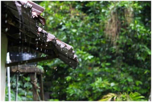 11月の手紙やメールで使いたい 季節の美しい日本語 Starthome