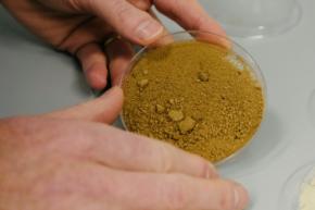 コーヒーも細胞培養で「持続可能」に　フィンランドで開発