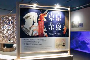 日本の金魚文化を学べる夏季限定イベント「東京金魚～時代を泳ぐ、小さなミューズたち～」がすみだ水族館で開幕