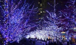 まだまだ楽しめるイルミネーション！2026年1月も開催中の東京のイルミネーション施設を紹介