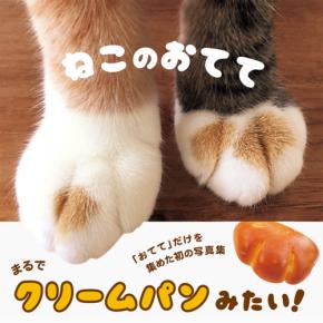 猫の「手」だけを集めた可愛すぎる写真集「ねこのおてて」が６年ぶりに重版！通算10刷に