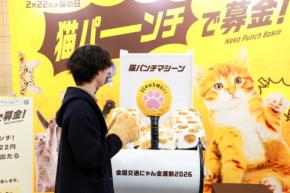 22kgピッタリで2,222円!猫の日イベント「猫パンチで保護猫支援」