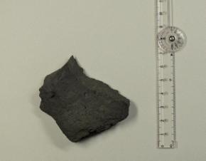 冠遺跡で4万2300年前の石器群出土　人類の日本到達時期に一石か