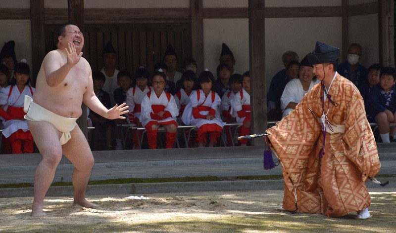 豊作祈願の「御田植祭」　稲の精霊と力士の相撲も　愛媛・大三島