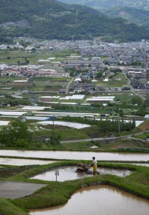 与党、中山間地直接支払の拡充調整　農業継続を支援　参院選公約に