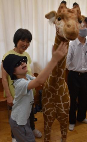 キリンやパンダ、どんな姿? 盲学校に「さわれる動物園」