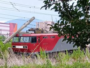 機関車が脱線し、電柱に衝突　JR北九州貨物ターミナル駅で