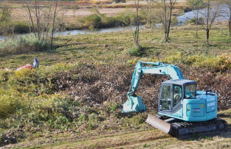 クマ対策 宮城県が河川敷のやぶ除去に着手 人里侵入や突発遭遇防止