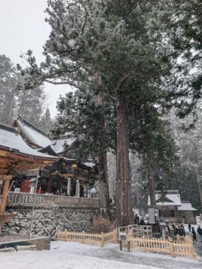 埼玉・三峯神社で参拝客が孤立　除雪作業による通行止めで