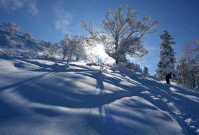 雪は「天からの手紙」 90年前に研究者を魅了した結晶の美しさ