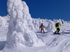 巨大な樹氷「スノーモンスター」、観光客を魅了　青森・八甲田山