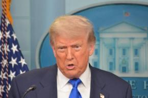 トランプ氏、日本の対米投資第1弾発表　火力発電など5.5兆円規模