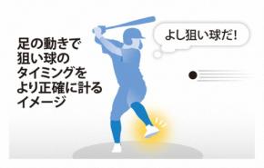 打率アップのコツは足の動き? 脳のタイミング調整、静岡大検証