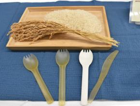「くず米」がスプーンやナイフに　プラスチック削減へ　秋ごろ販売