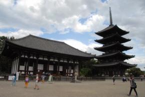 奈良・興福寺の東金堂院　回廊は通説の2倍超　創建時の姿が明らかに