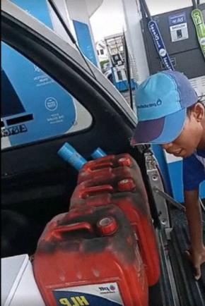 燃料不足のタイに異変 ひつぎ見せて給油 ゾウは「徒歩出勤」