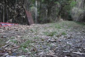 逮捕の父、捜査かく乱狙って遺体を複数回移動か 京都・南丹