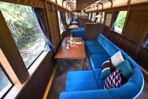 南海電鉄が新観光列車　約100年ぶりの食事サービス提供も