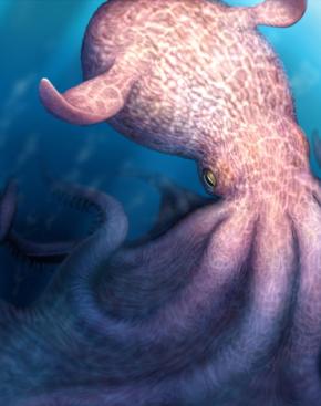 白亜紀のタコは最大19メートルで海の頂点捕食者　北大など発表