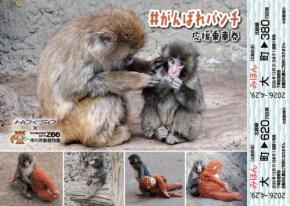 北総鉄道、子ザルの「パンチ」応援乗車券　5月にコラボまつり