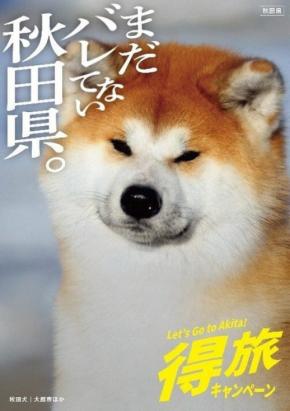 「まだバレてない…」認知度低い秋田　「逆手」のポスターでPR